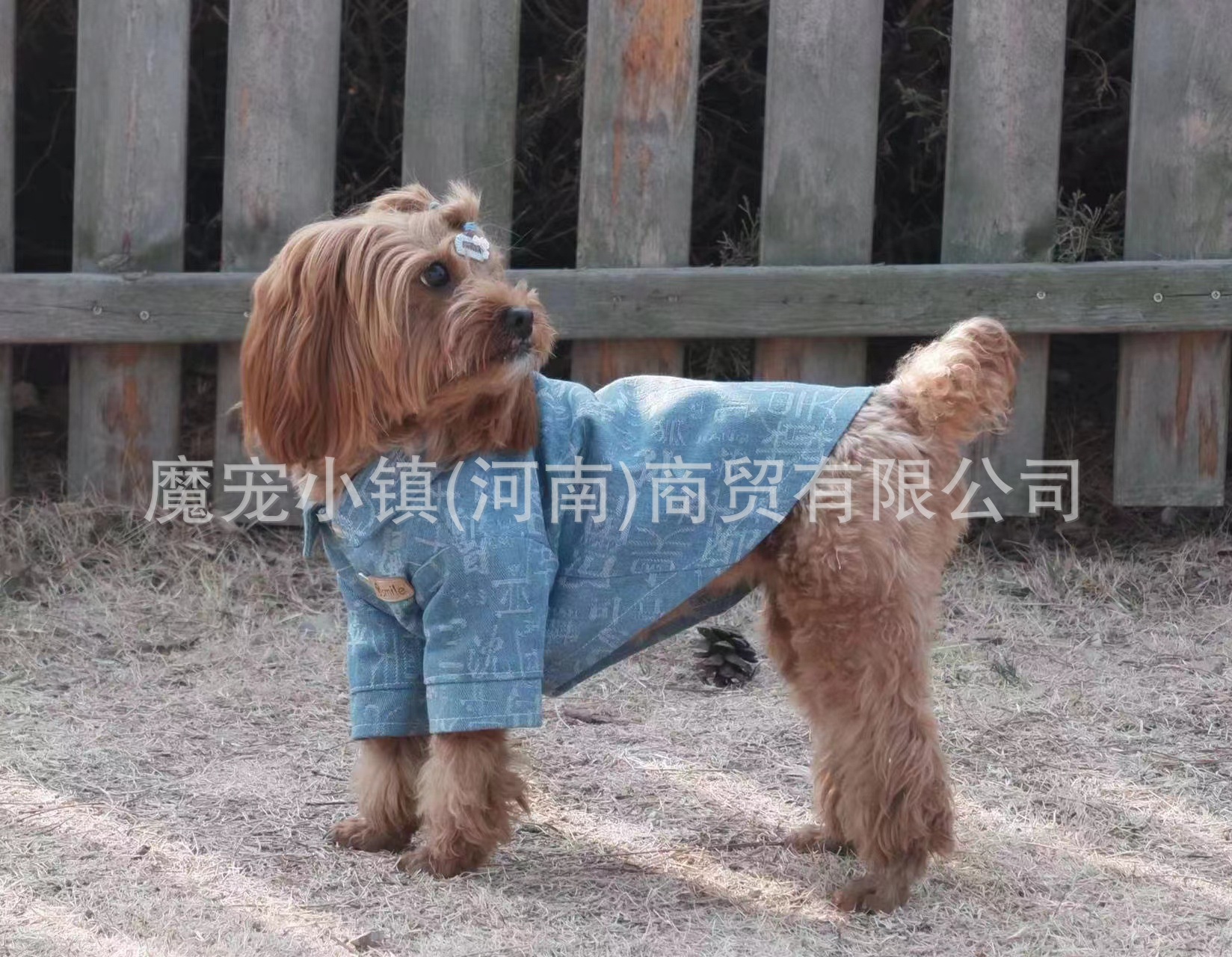 595b3db2590f1a88e7be633dadd697