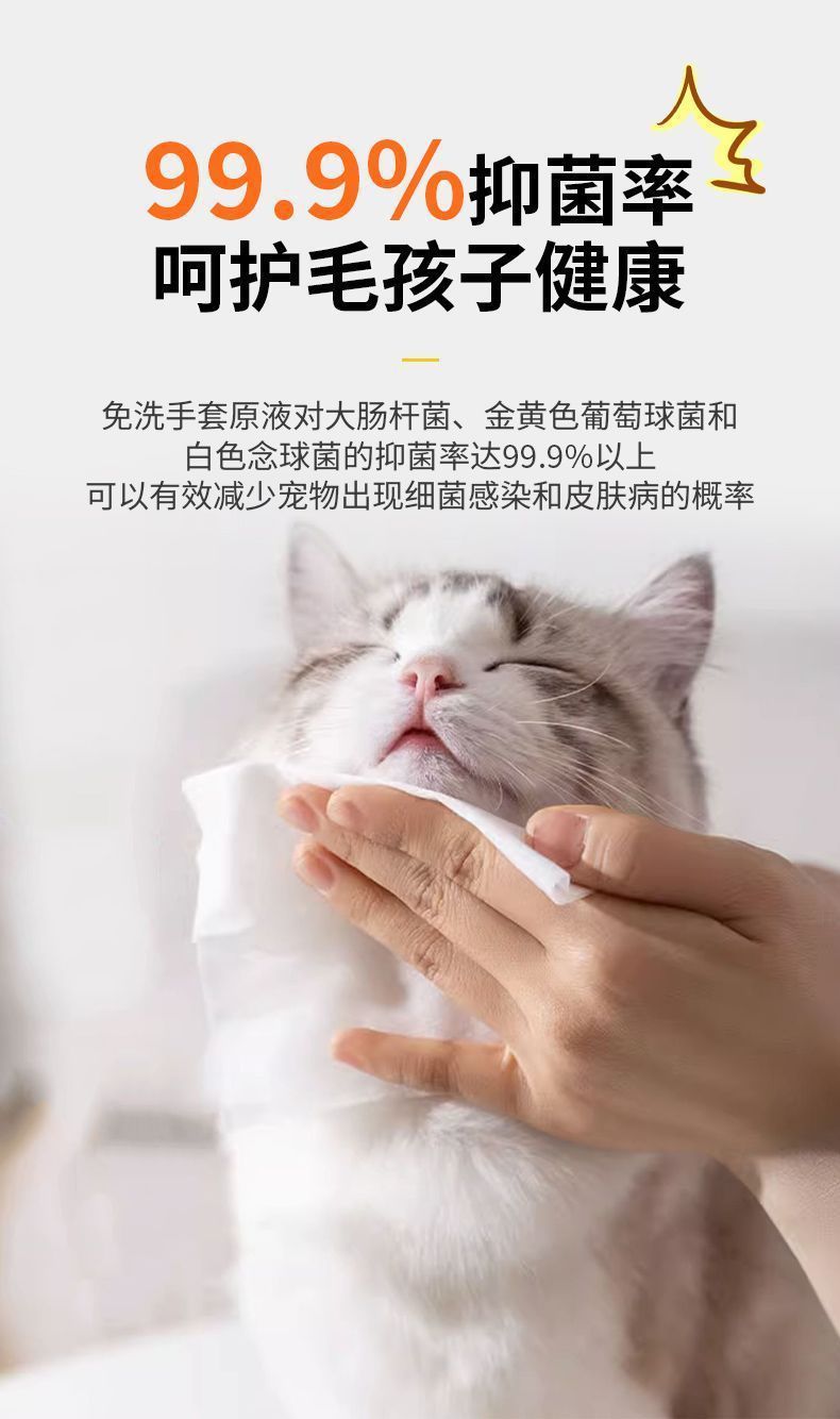 18f225b7-6555-45e0-965c-37e0167b52e3.jpe