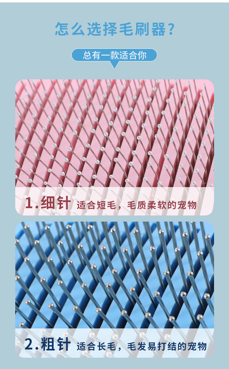 宠物3_04