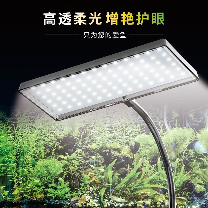 e618537a-4129-4740-8c79-3ec3fef71691.jpe