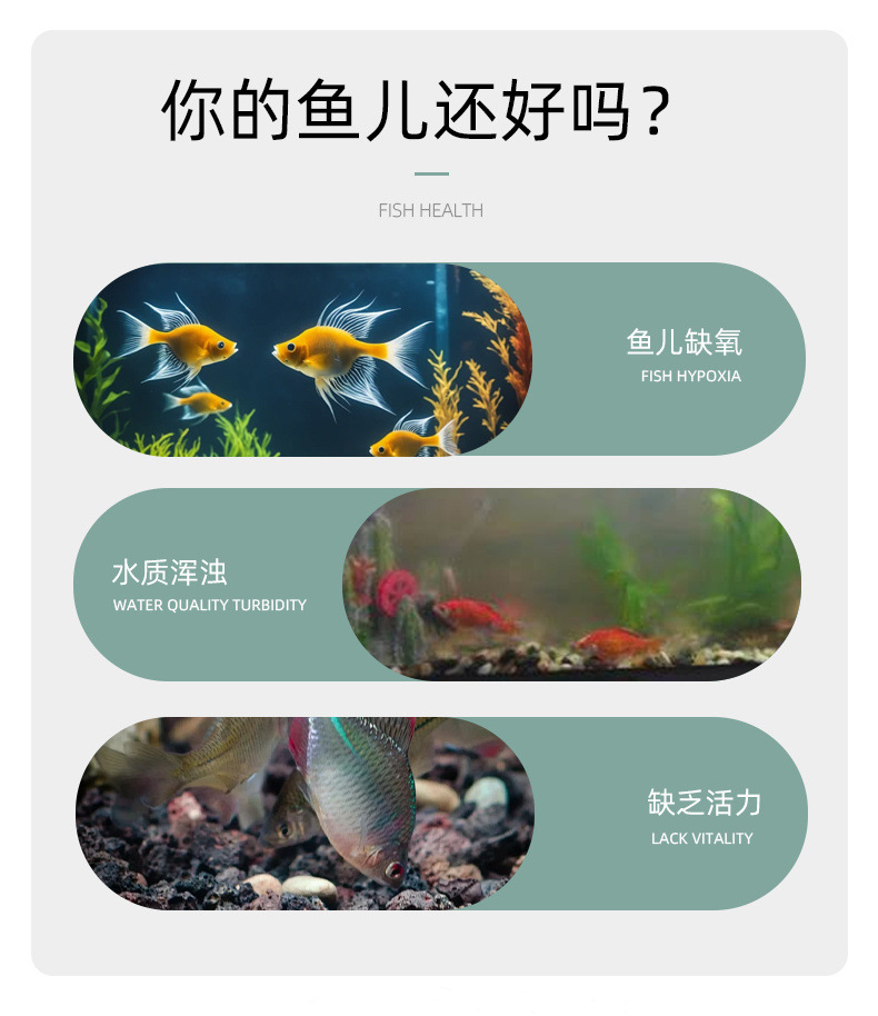 327b80bf-359c-411b-a7d0-e8e9c389af65.jpe