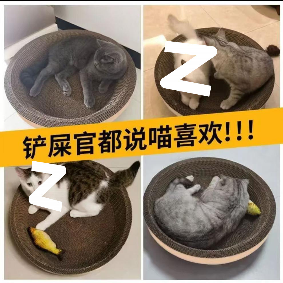 2a278985-7466-4969-a5a4-3a30d618fcac.jpe