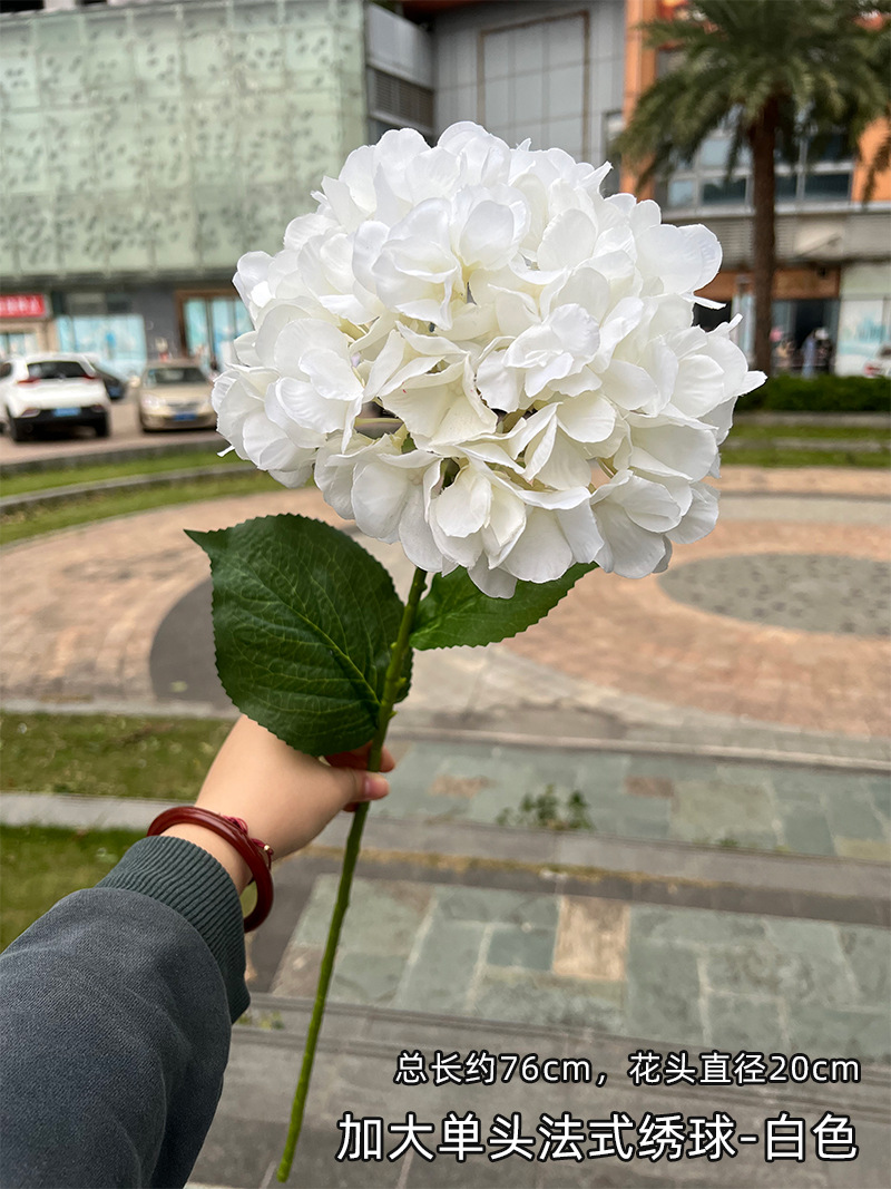 加大单头法式绣球-白色.jpg