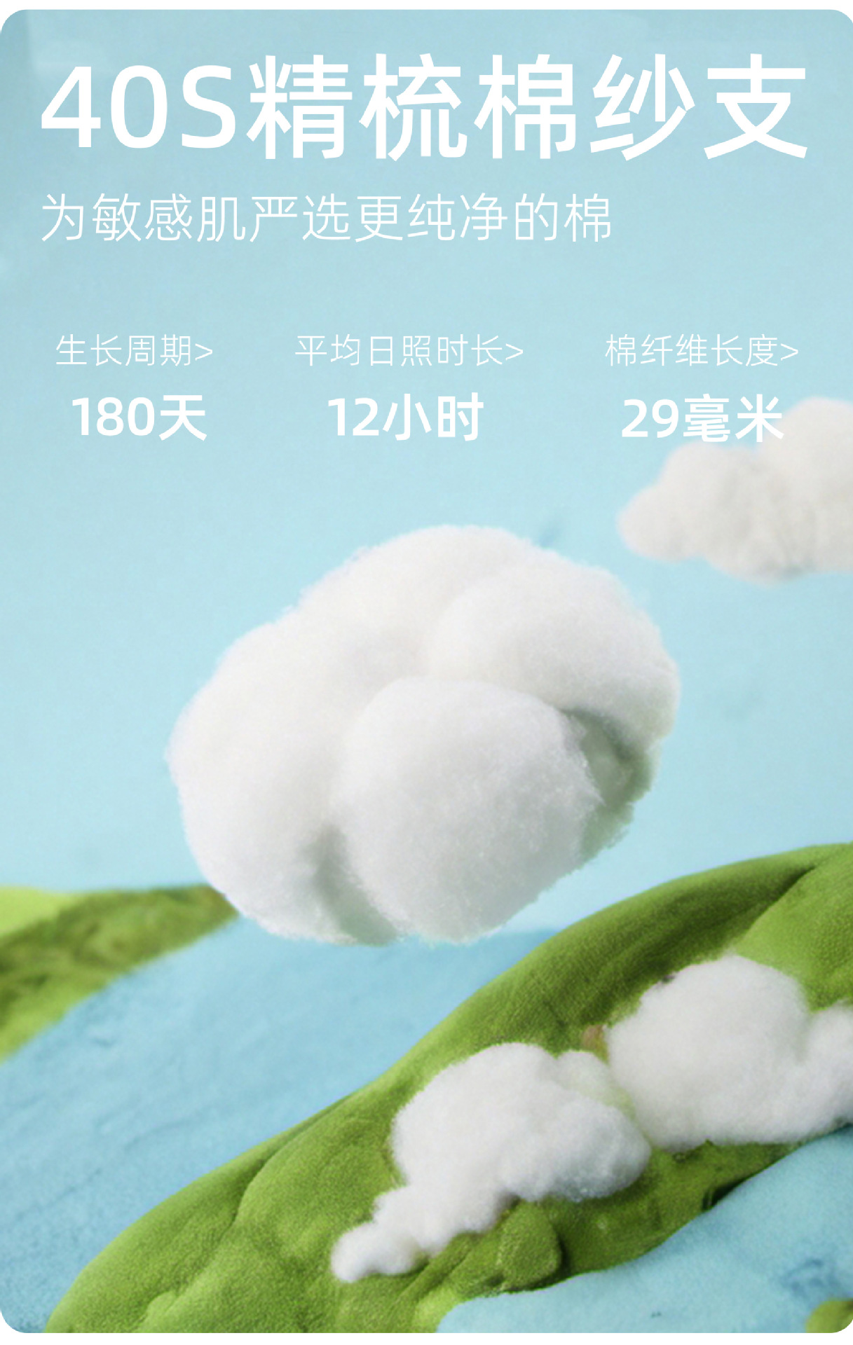 图层 5