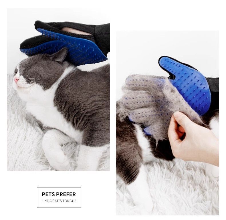 787e9d25-6982-448f-a9a7-7c7098d9d2d6.jpe