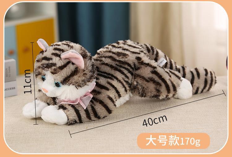 猫猫_07.jpg
