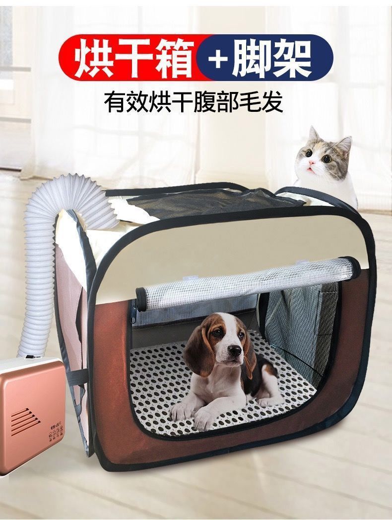 eea3ee0c-c9b9-4fe5-8fe0-a95b59852994.jpe