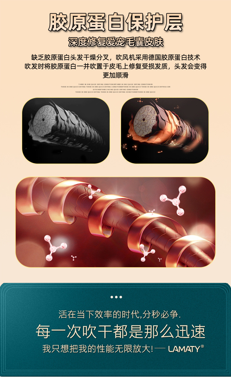 4d1ede82-8261-4e6d-8e75-e4cf6198fedc.jpe