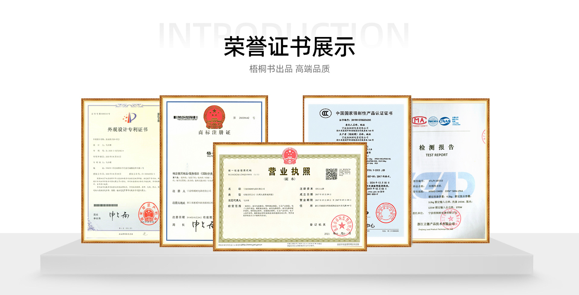 宁波梧桐树电器有限公司(新版)_06