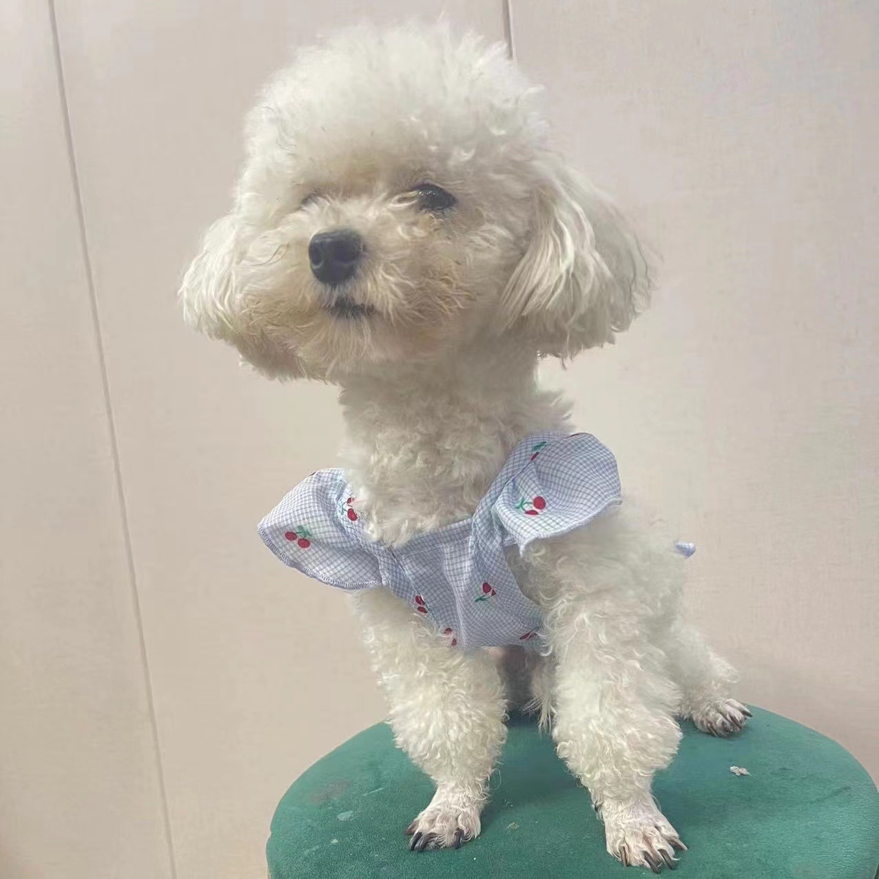 微信图片_20220520155920