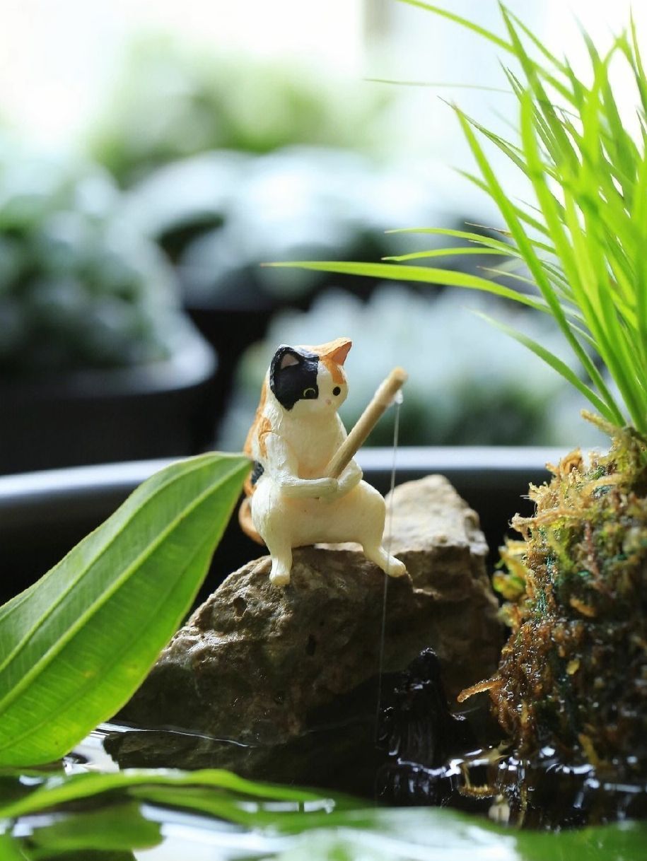 09aa4251-44e6-427c-a167-5e58d5ba6123.jpe