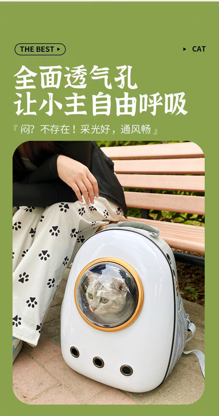 4de47735-d6b1-4407-b675-fa5204c67afc.jpe