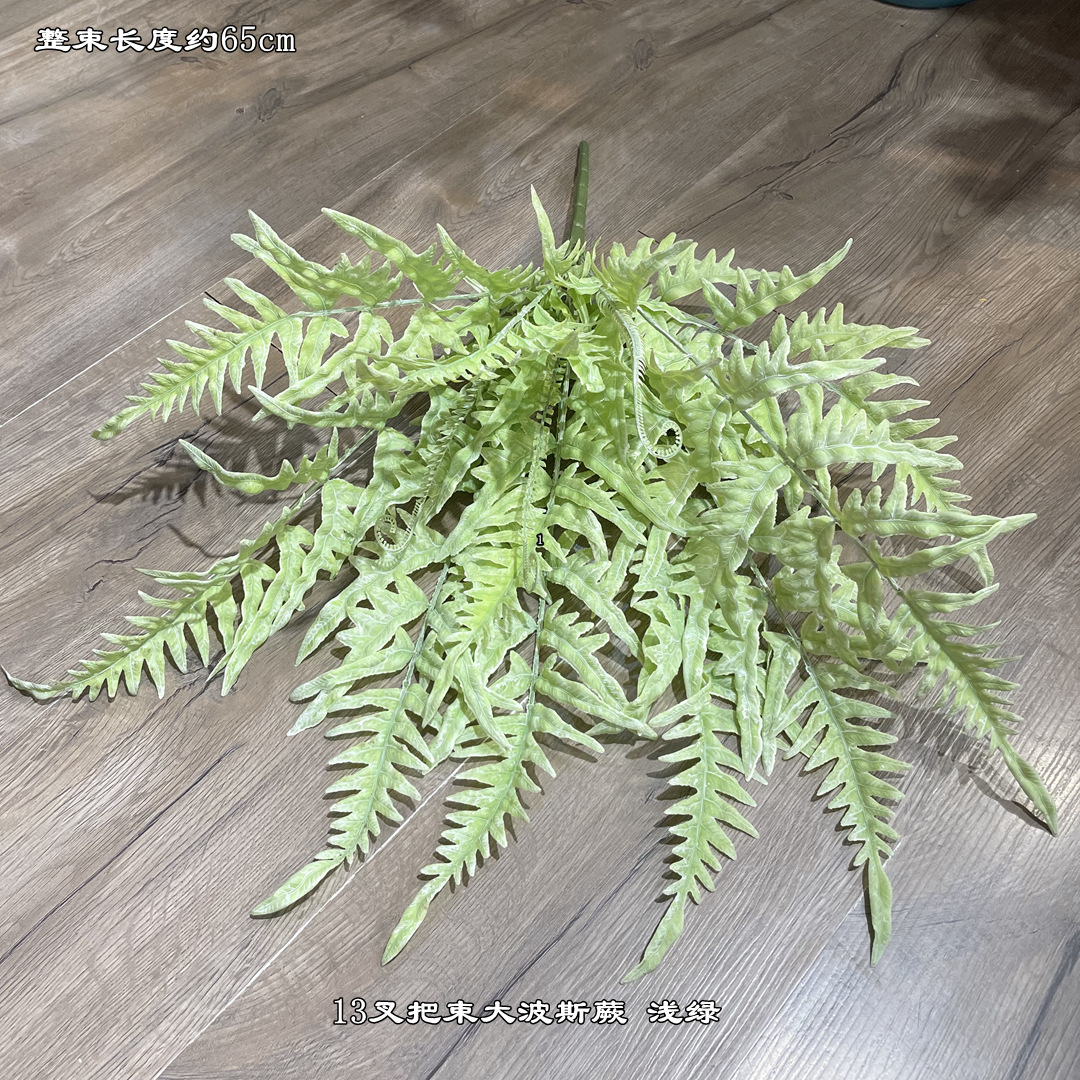 微信图片_20210629104255_副本