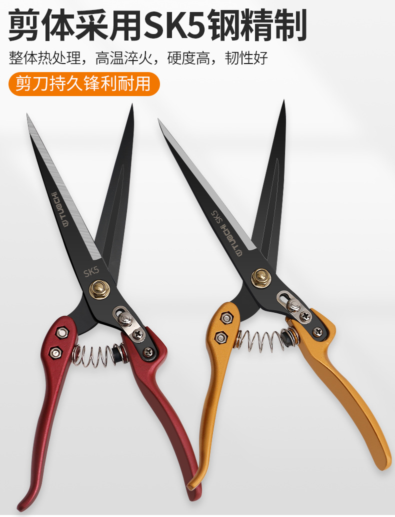 790详情_03.jpg