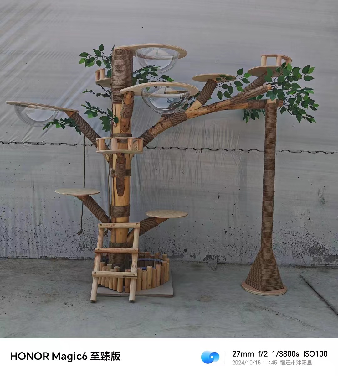 微信图片_20250123175603