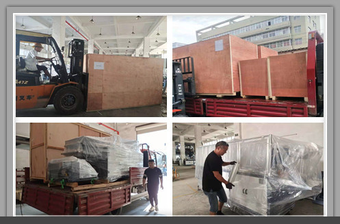 11323421691_862798202_副本