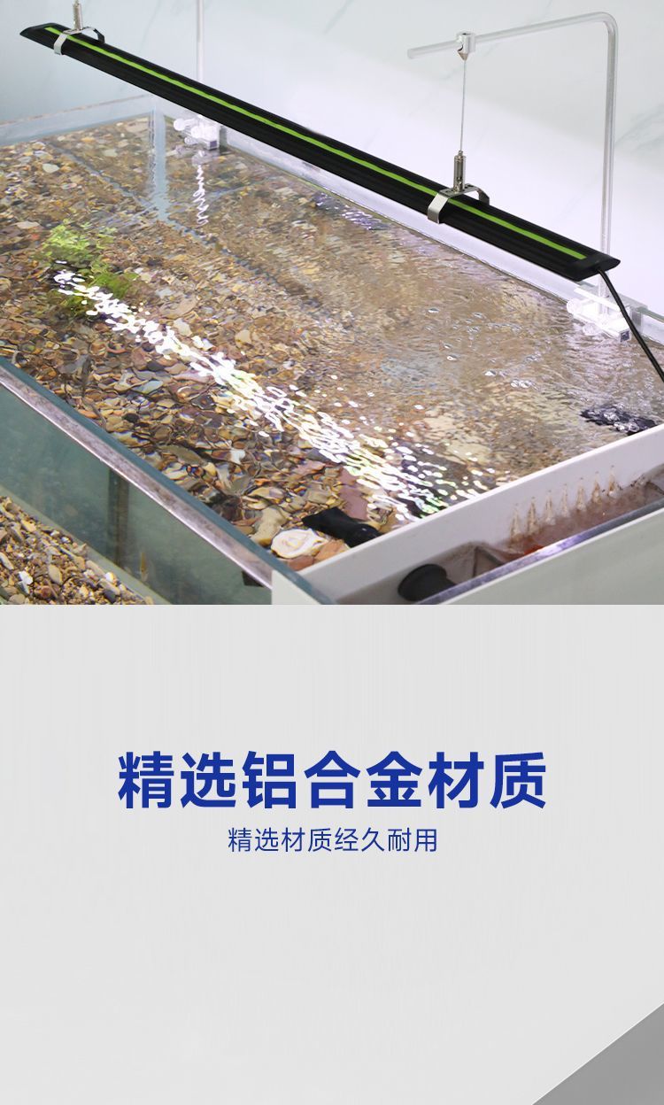 5feaf082-a9de-4464-8a29-11b05b8bf8e4.jpe