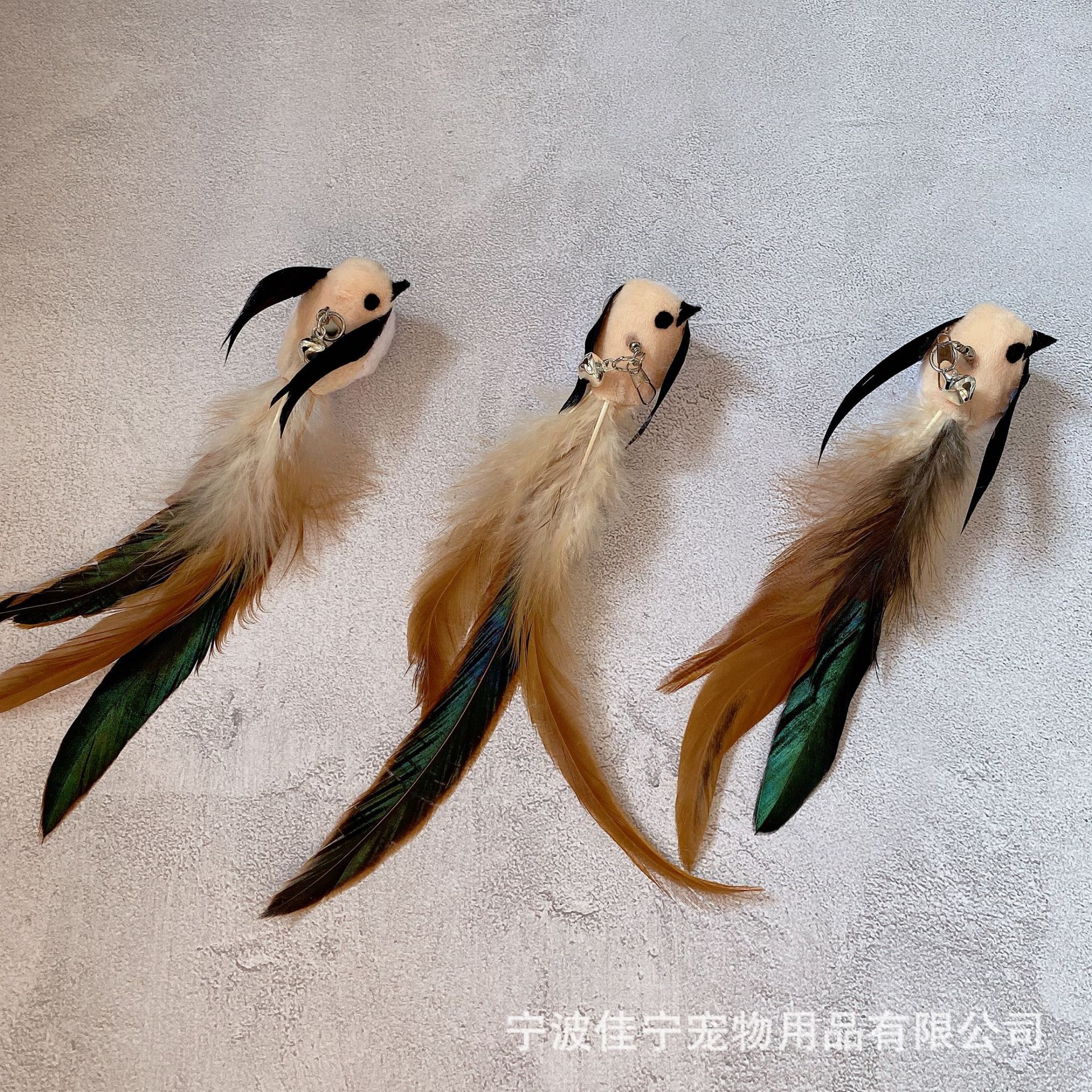 IMG_3548(20210929-170039)