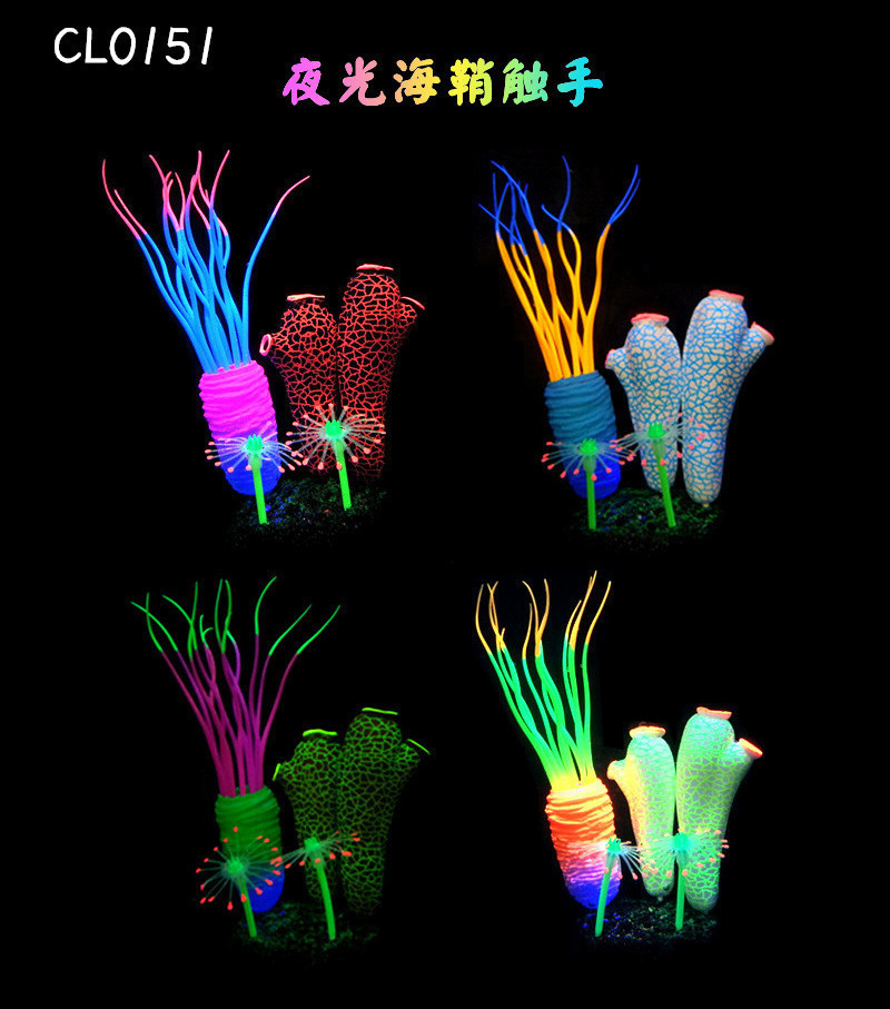 10912039265_1103982721