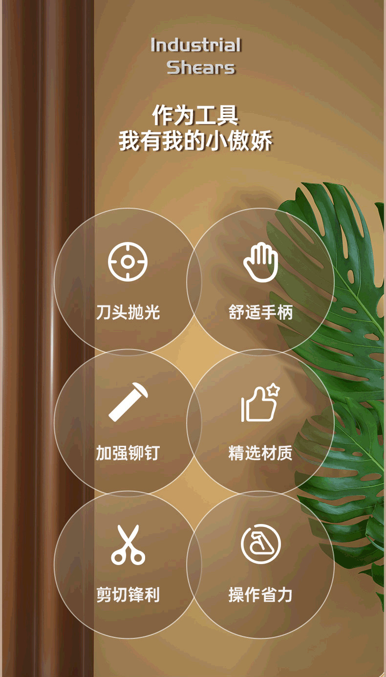 d5029103205f1d4c.png