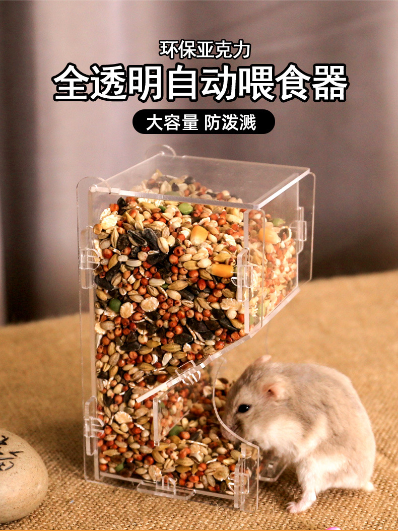 说1.jpg