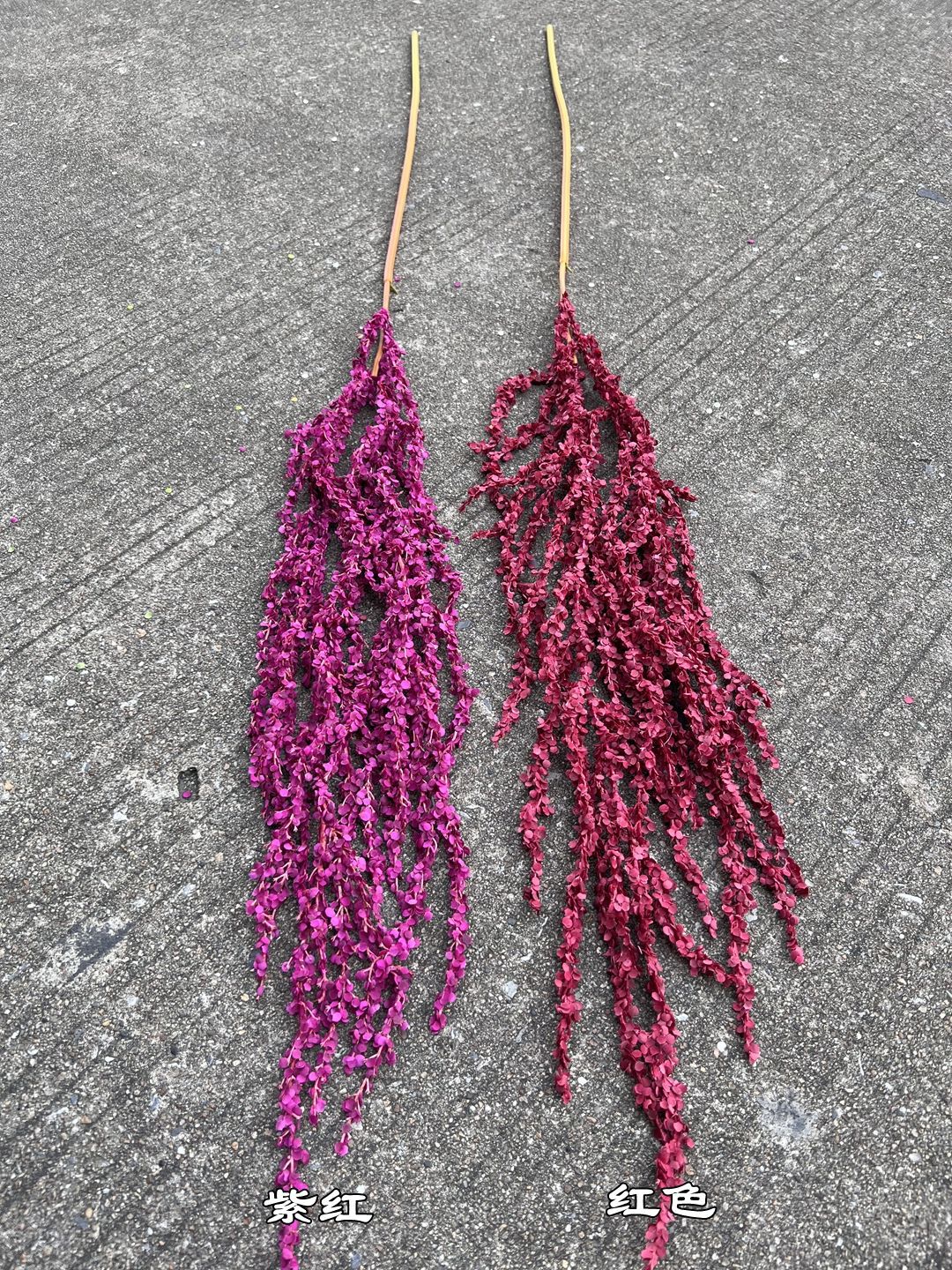 微信图片_20231030195639