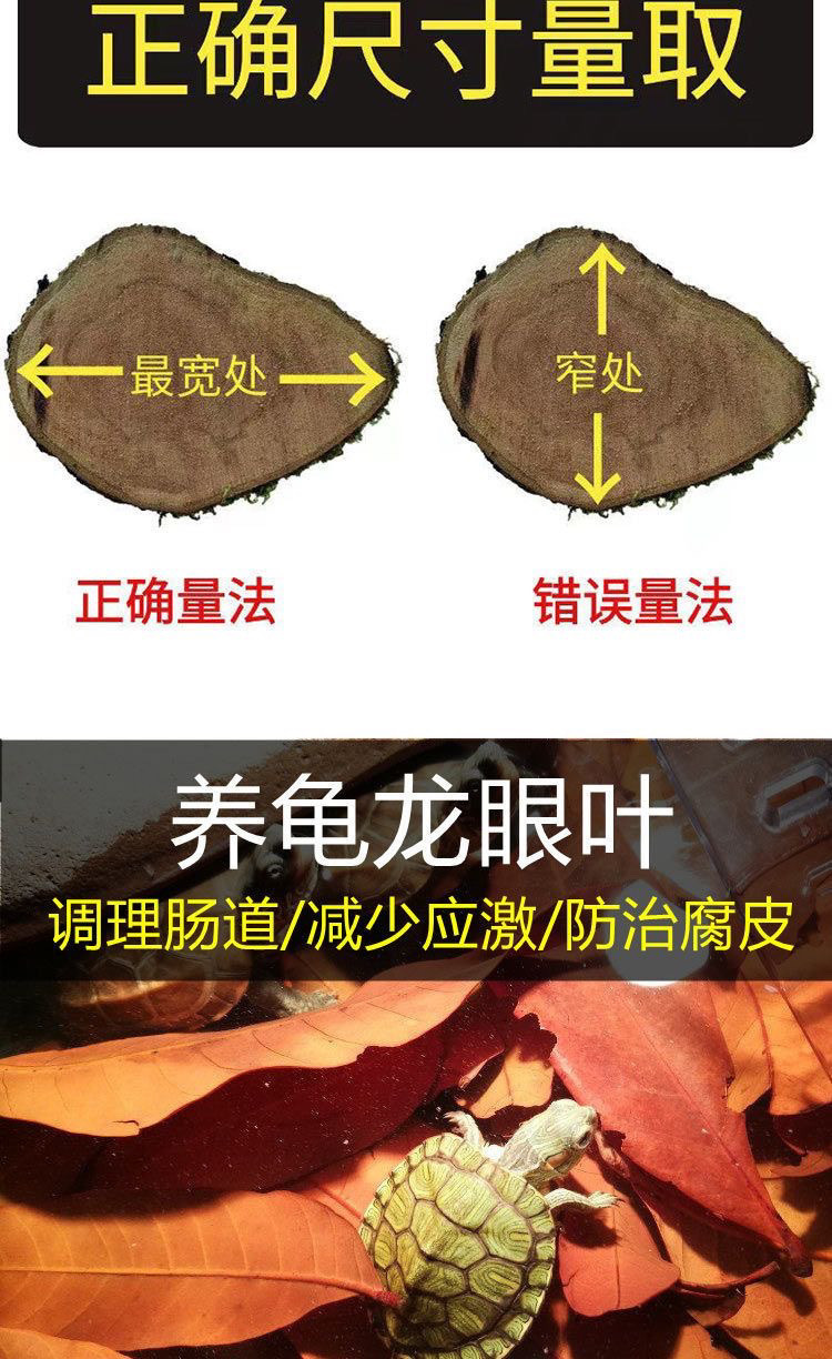 bf82dede-2b65-4316-9dfd-ec476d2302f2.jpe