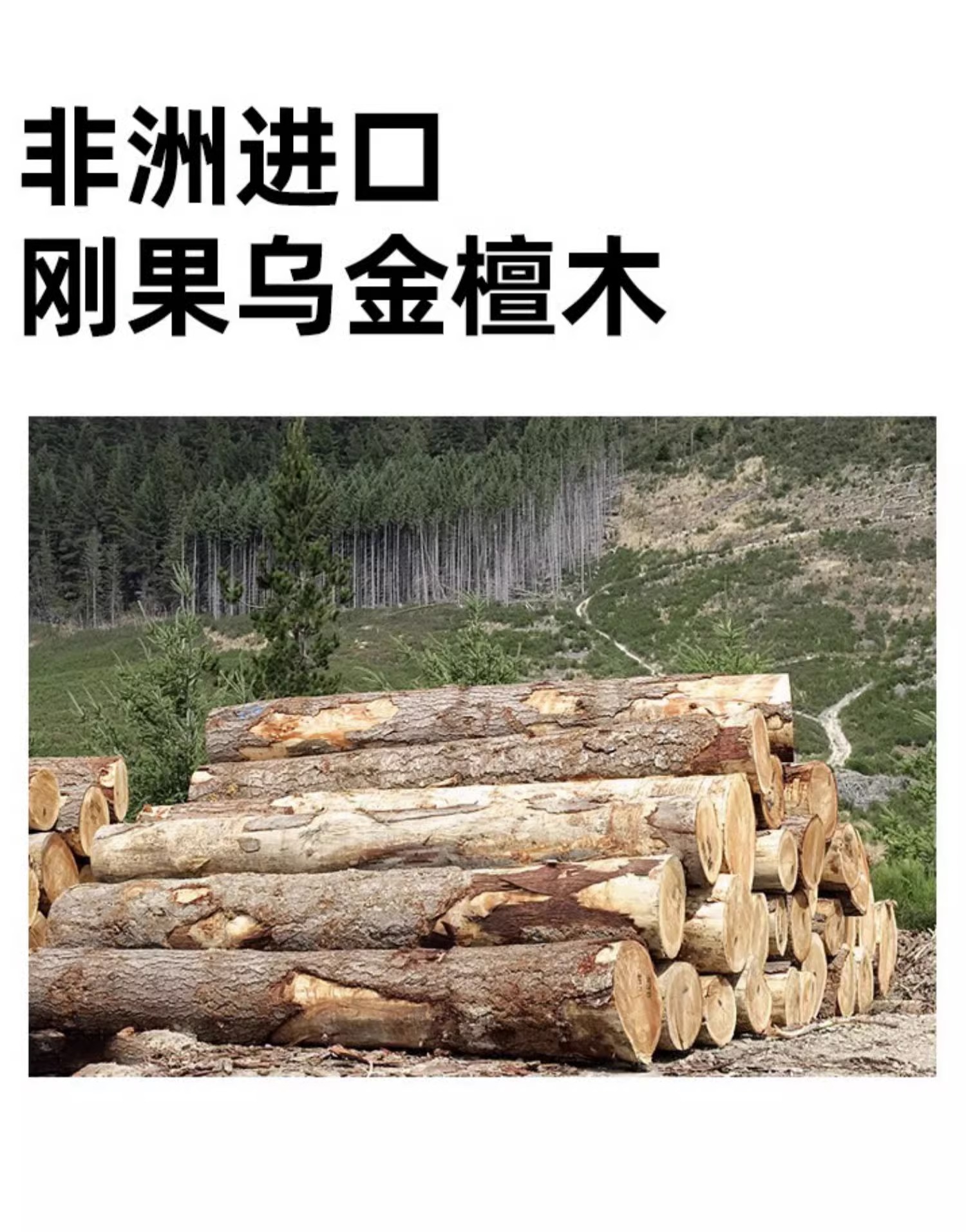 format,png