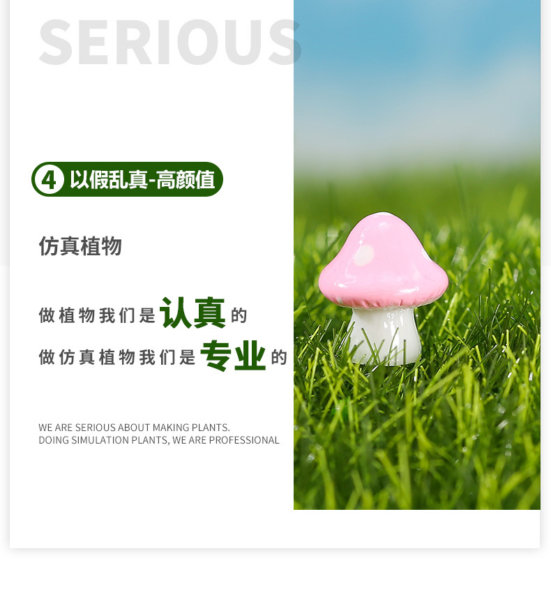 六色仿真蘑菇2_10