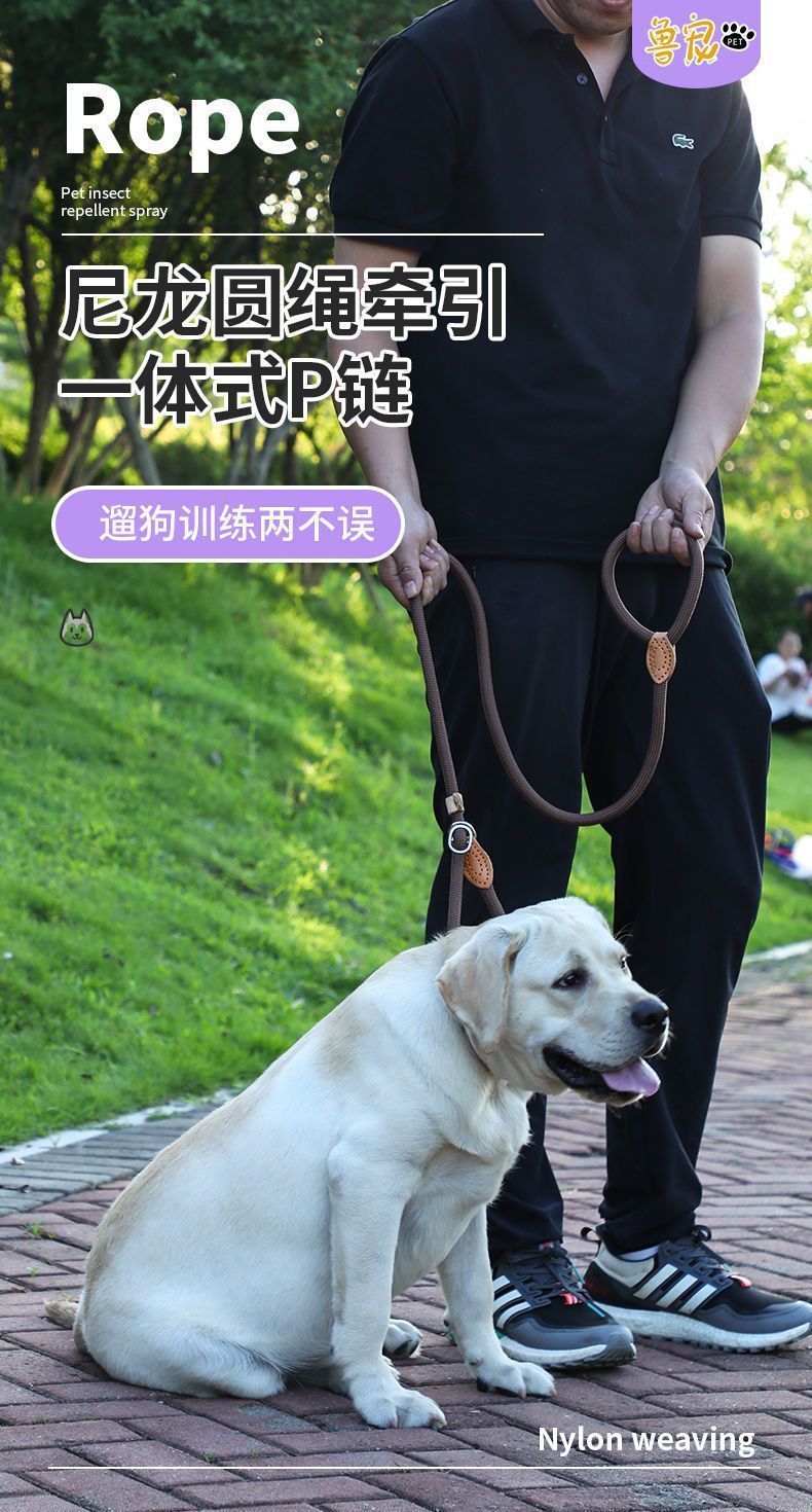 479dbc42-f33c-489b-ac04-aba4c5d75030.jpe