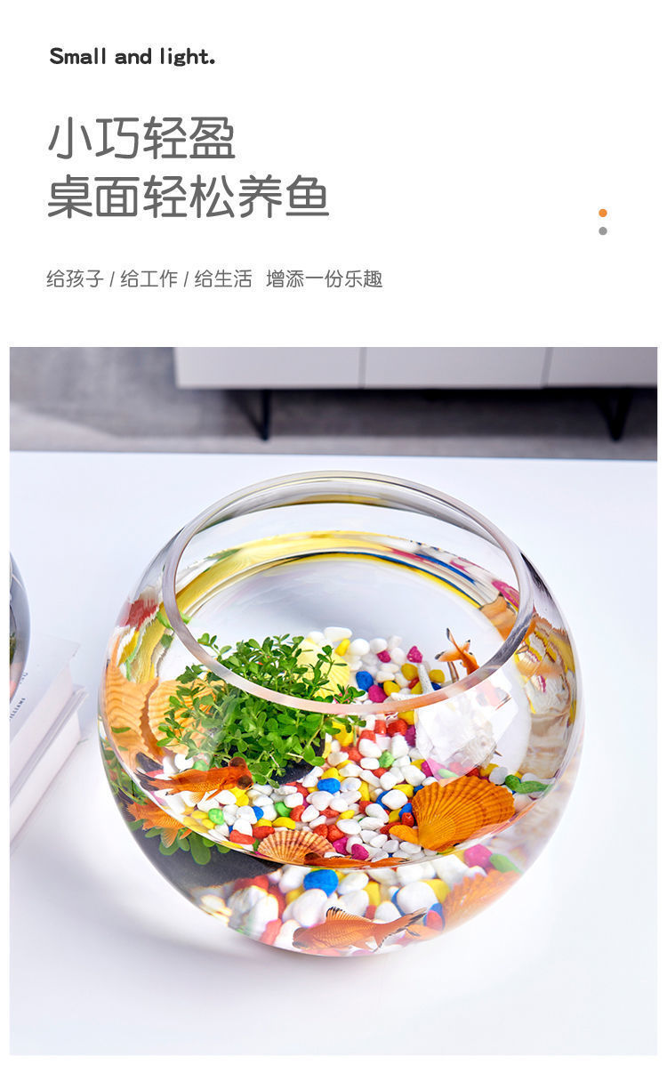 5fd4a186-32c9-4f5a-b2be-ca194c2c33c0.jpe