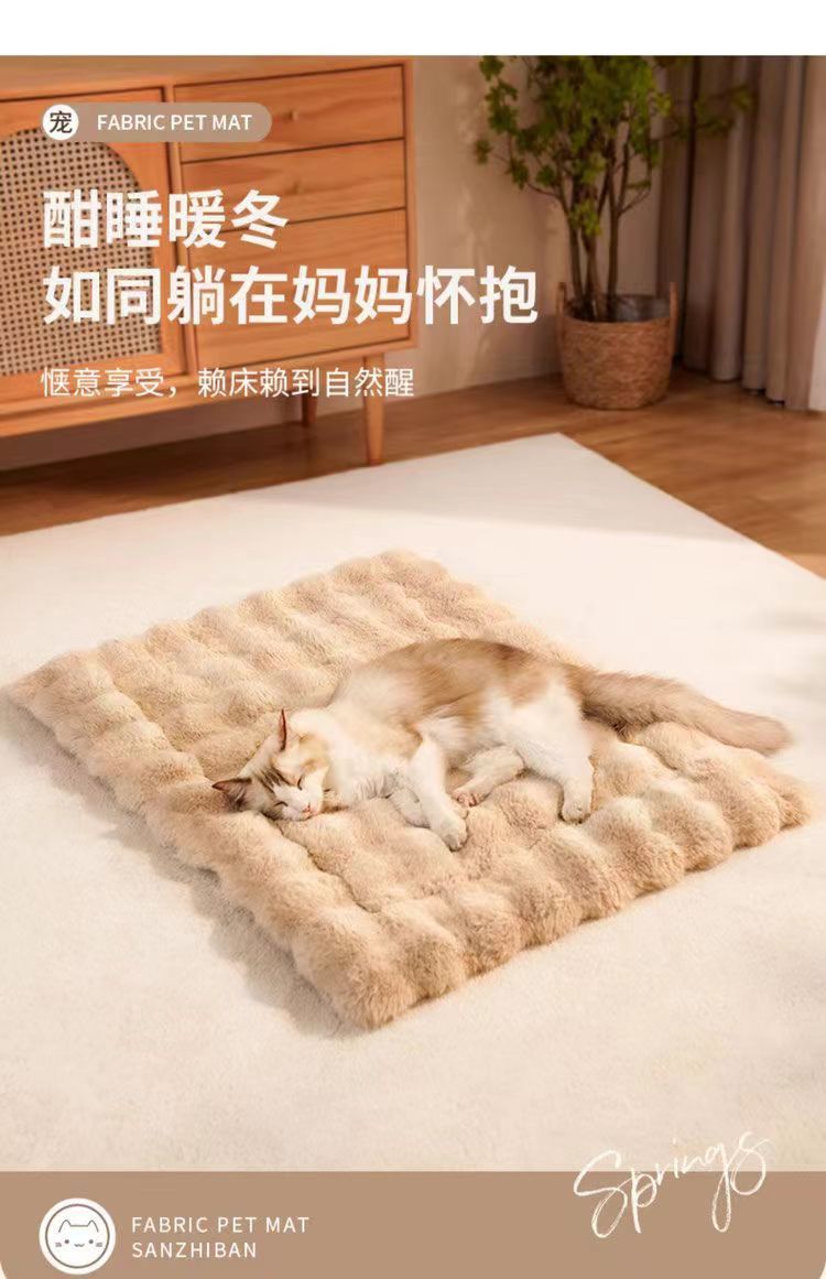 ef8b37a8-f77f-4854-83de-7361d947b3b7.jpe