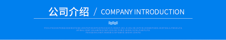 公司介绍