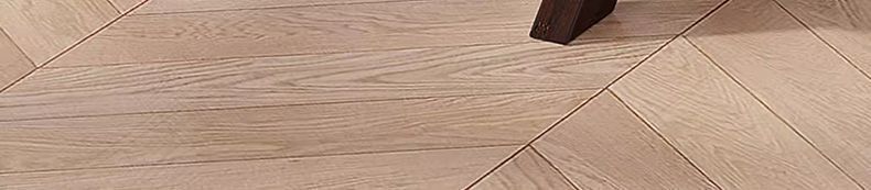 b784d6b8-c5d8-46f1-9691-2446a8a9583a.jpe