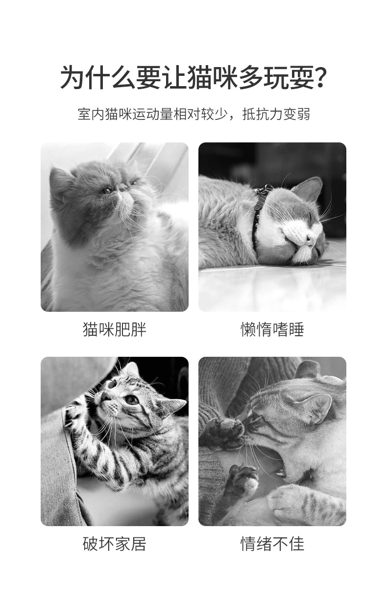 发光虫子