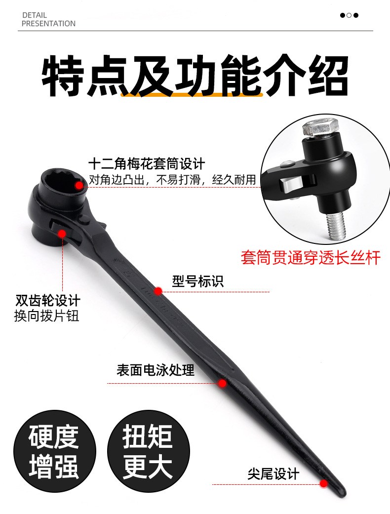 尖尾棘轮_08.jpg