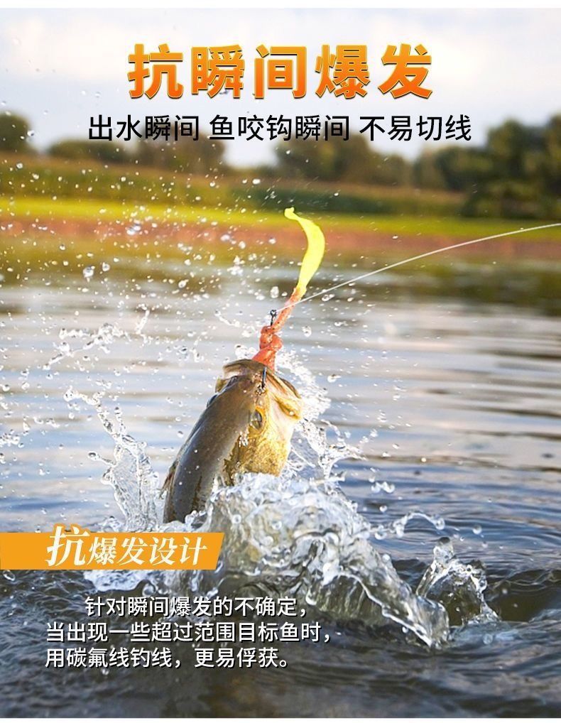 bbd08fb2-f64a-4b19-9e2f-5c0f2f2ec8c0.jpe