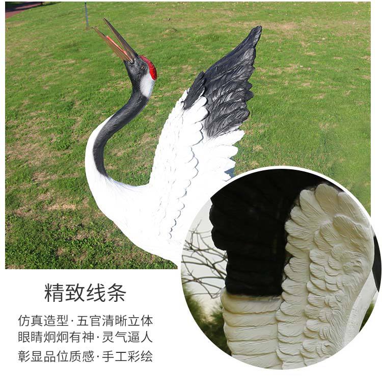 丹顶鹤新_17.jpg
