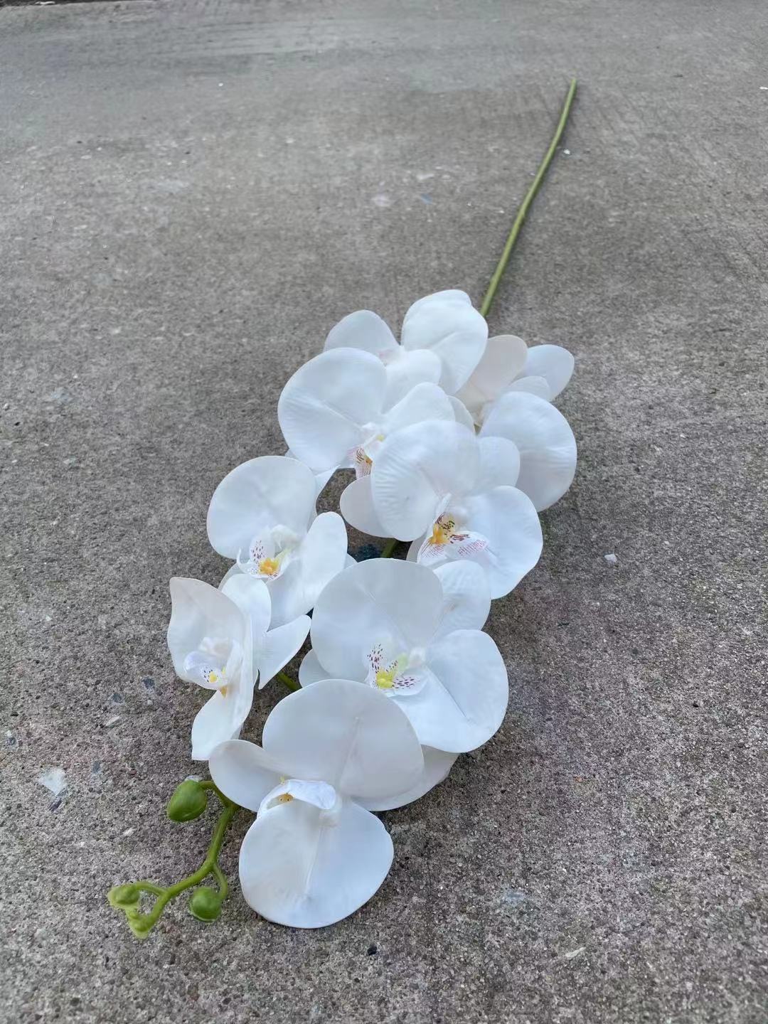 微信图片_20220503145548