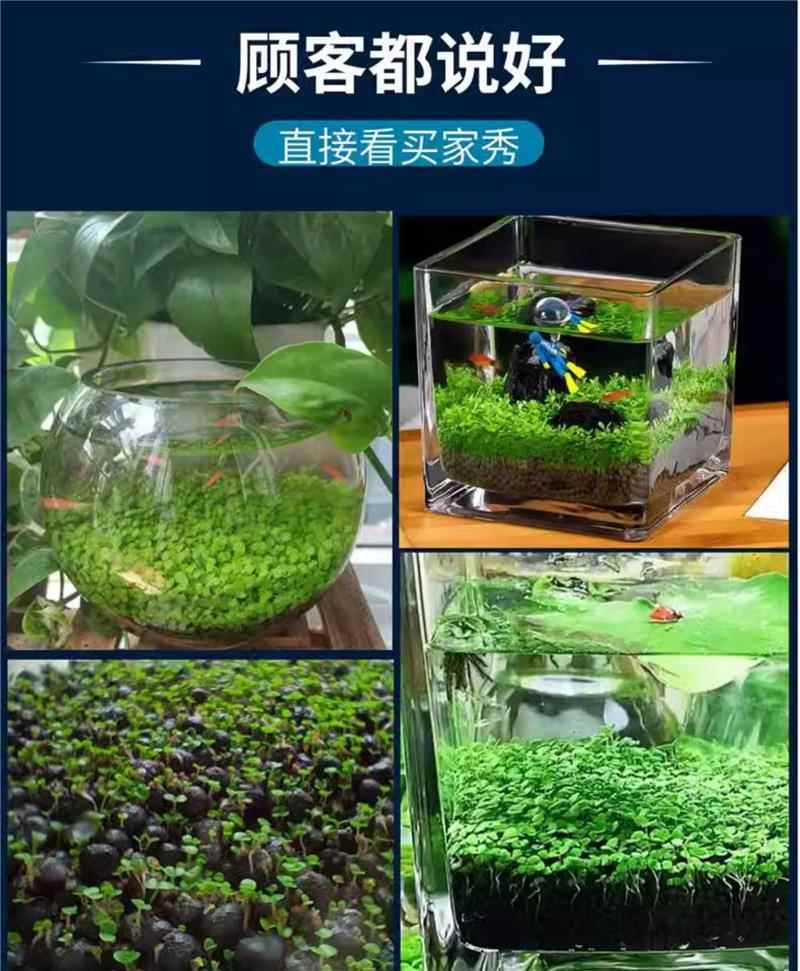 详情图片_3