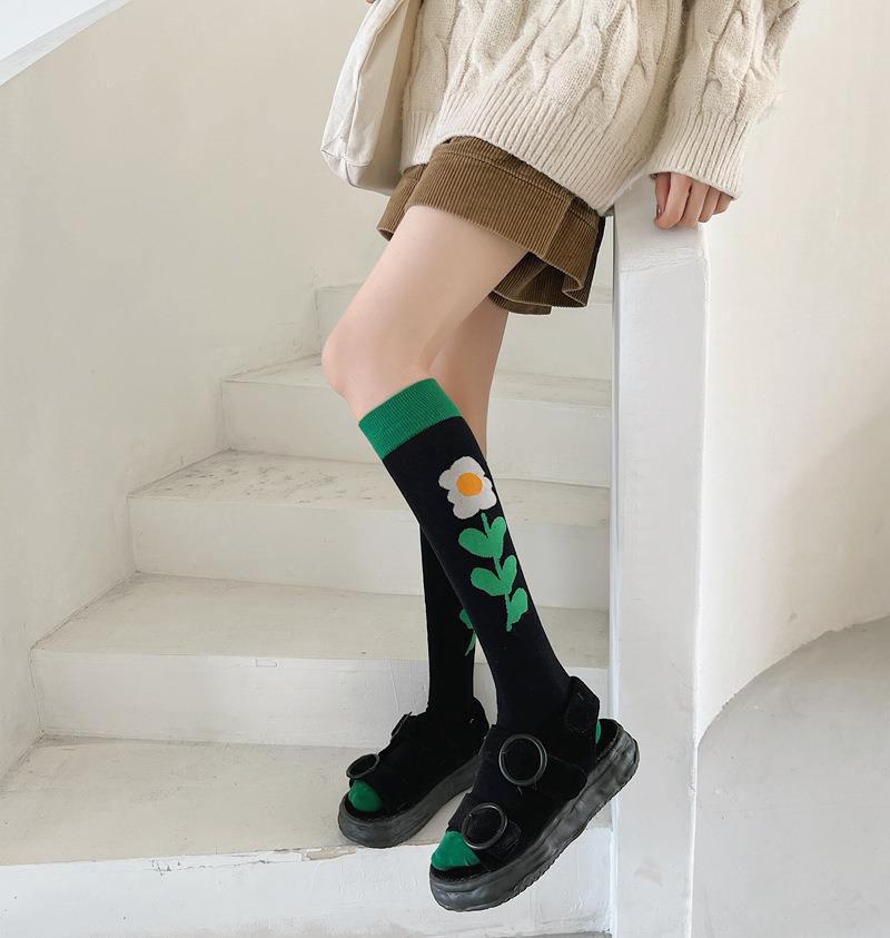 2022-08-01 121137.jpg