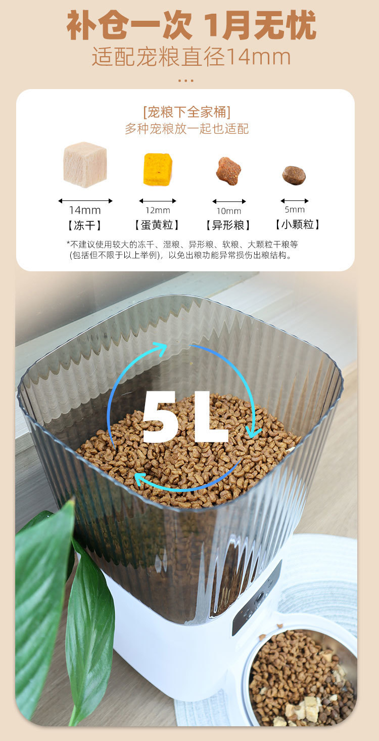 46c81e12-4a39-486d-a3d2-6508f2a07ff4.jpe