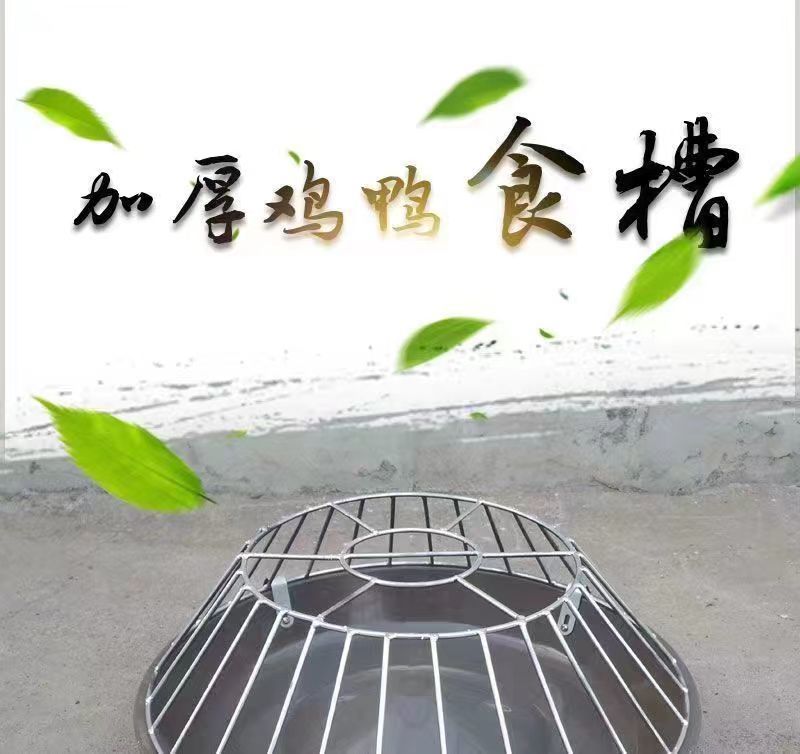 d56a62a3-5e82-4589-9992-fae083f7cf9d.jpe