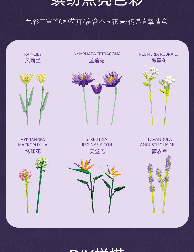 详情-14.jpg