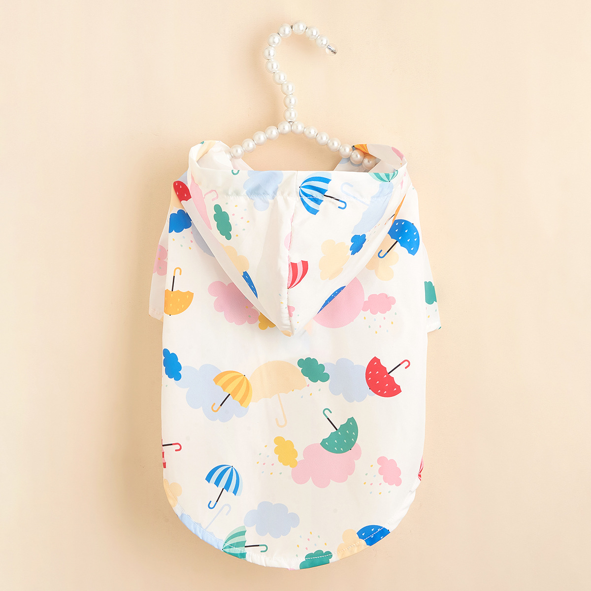 DSC_6349背图 (1) - 副本