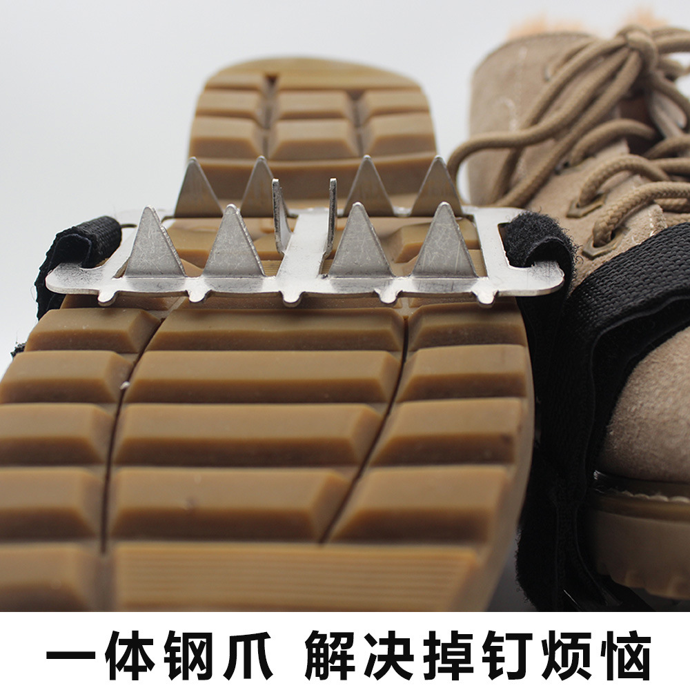 前脚掌八齿5