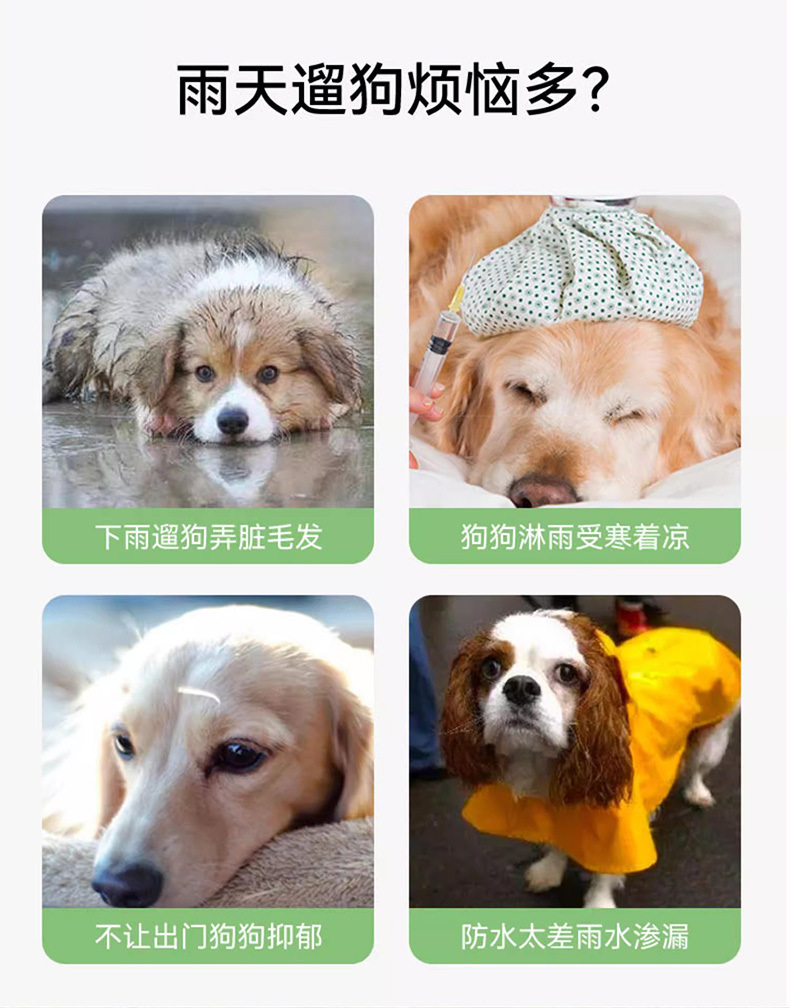 ea6fa9af-23be-4554-9700-4808f597d56d.jpe