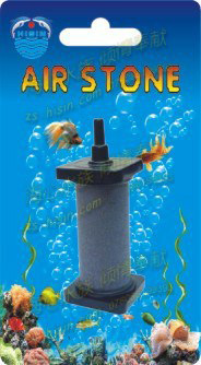 334332368_1518360834