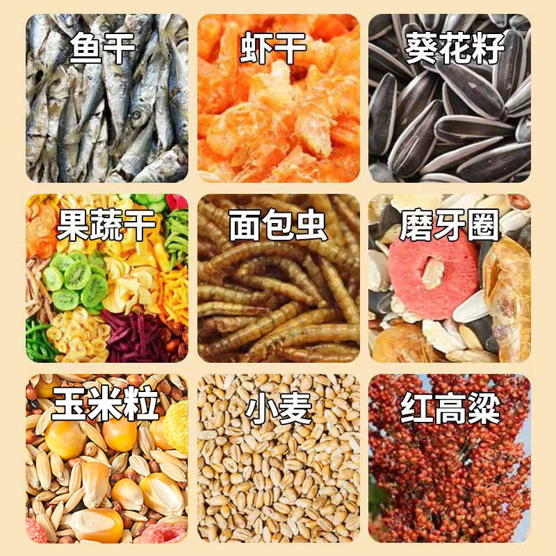 48cffada-a099-4cf3-a7fb-e81a5599c77d.jpe