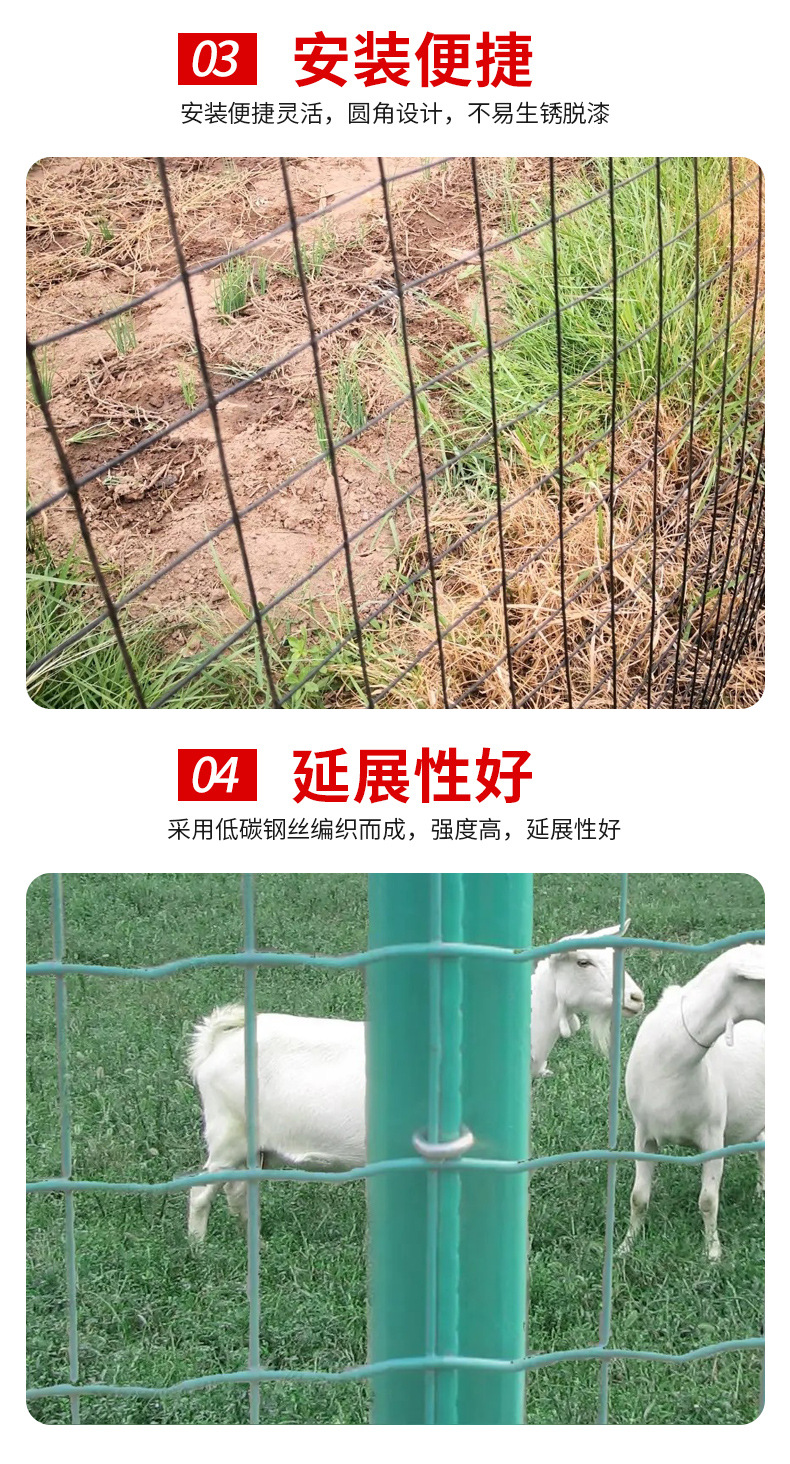 详情_07.jpg
